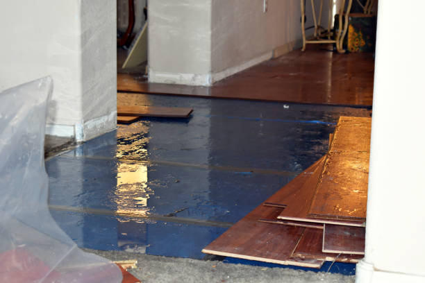 Professional Water Damage Restoration technician working in Fairfield, NC